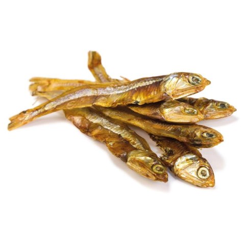 Arquivet Przysmak suszone rybki 100g