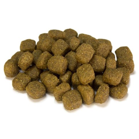 Arquivet Adult Kurczak z ryżem od 10 msc.12 kg