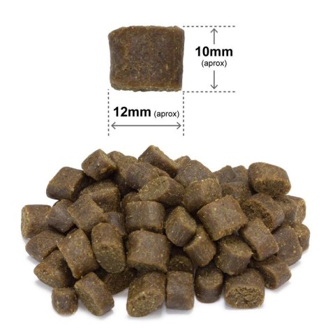 Arquivet Fresh półwilgotna karma dla psa ryba oceaniczna 10 kg