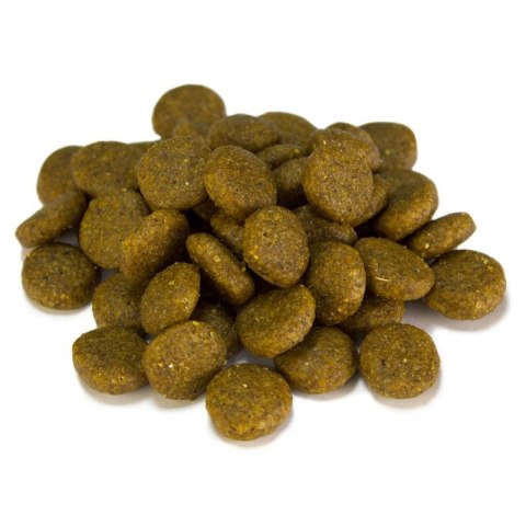 Arquivet Sensitive łosoś z ziemniakami 12 kg