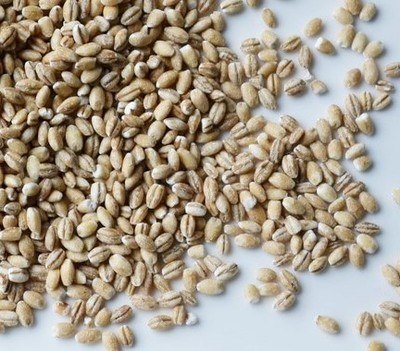 Kasza Jęczmienna Pęczak 25 kg Swojska Piwniczka