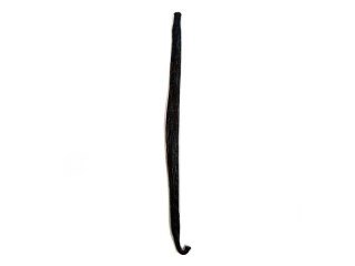 WANILIA LASKA MINIMUM 14CM W AGA OKOŁO 2G (VANILLA TAHITIAN)